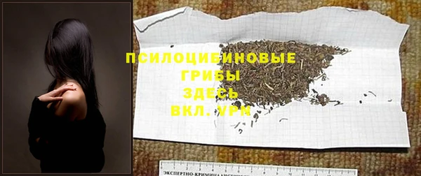 СК Переславль-Залесский