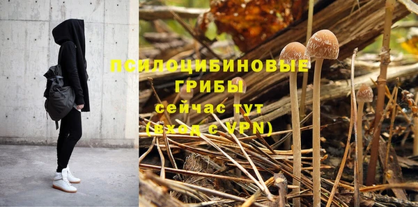 мет Ветлуга