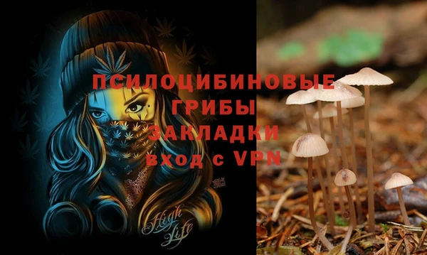 дживик Пестово