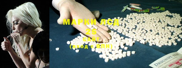 ПСИЛОЦИБИНОВЫЕ ГРИБЫ Аркадак