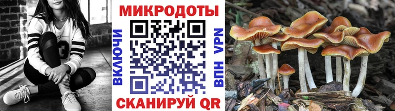 купить закладку Боготол darknet телеграм Псилоцибиновые грибы ЛСД